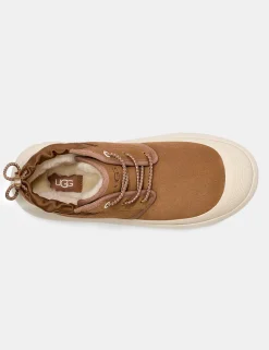 Stivale Ugg Marrone